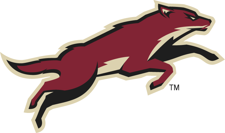 Phoenix Coyotes 2008-Pres Alternate Logo iron on transfers for clothing